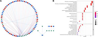 A novel 16-gene alternative mRNA splicing signature predicts tumor relapse and indicates immune activity in stage I–III hepatocellular carcinoma